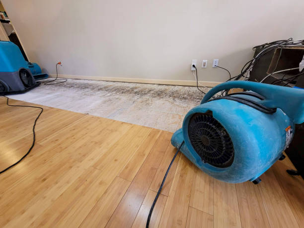 Professional Water Removal technician working in Sedgwick, ME
